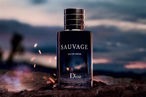 dior sauvage kopfnote|sauvage dior fragrance.